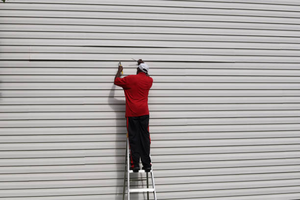 Best Aluminum Siding Installation  in Cove Creek, NC