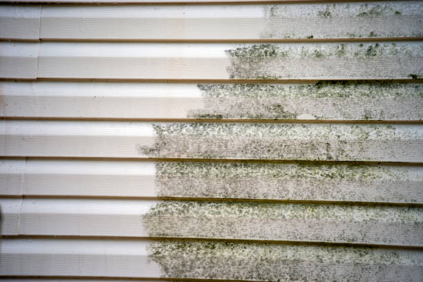 Best Wood Siding Installation  in Cove Creek, NC