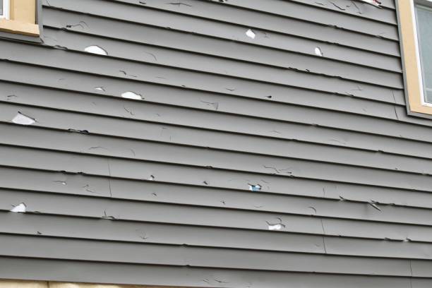 Best Weatherproofing and Sealing  in Cove Creek, NC