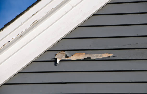 Affordable siding repair and maintenance services in Cove Creek, NC